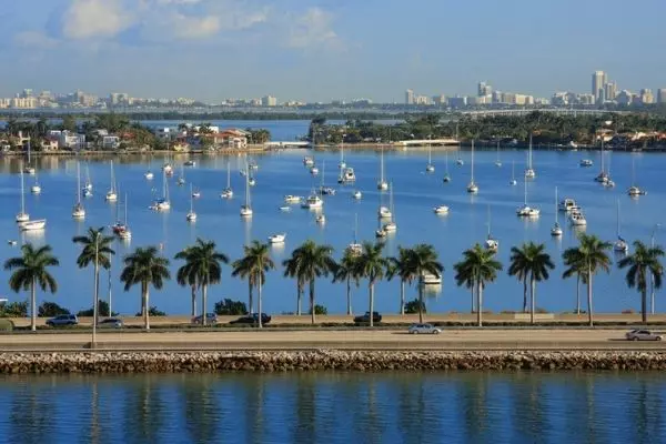 Barcos y palmeras frente a Miami