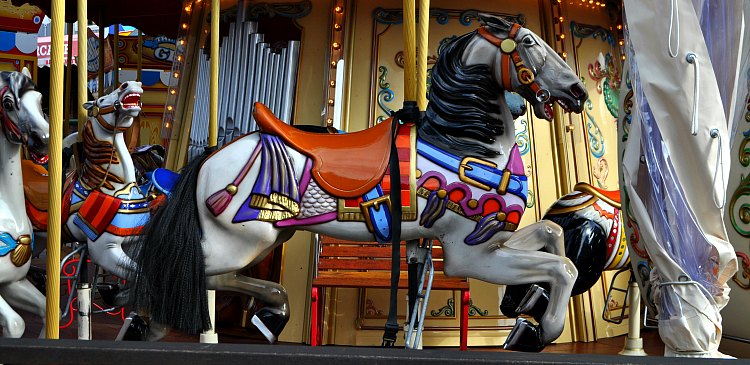 Un solo caballo en el carrusel histórico en el muelle 39 en San Francisco.