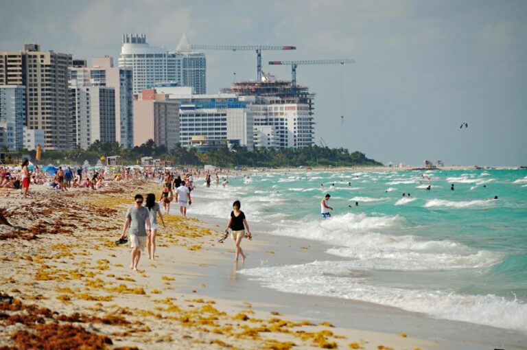 Lugares Para Visitar En Miami Con Adolescentes