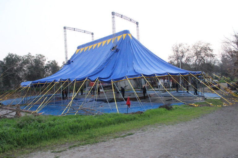 Carpas Para Termitas En Miami