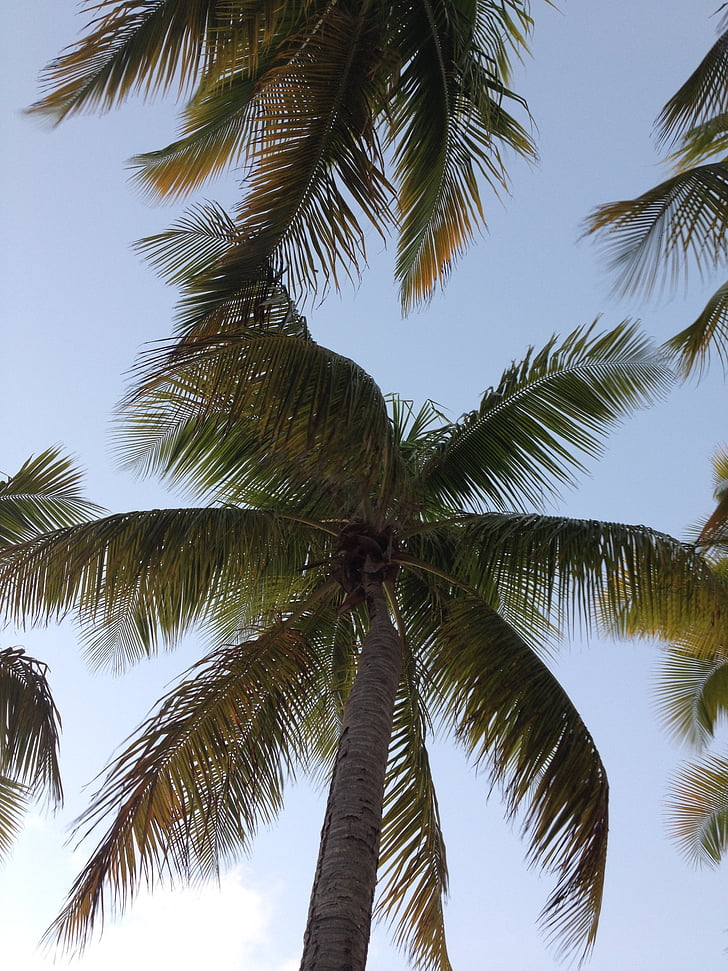 Noticias Del Clima En Miami