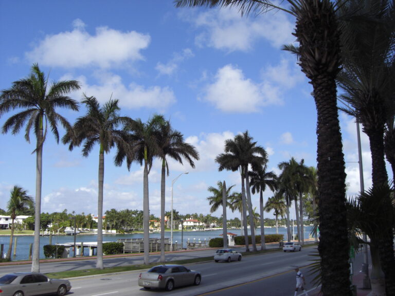 Crear Una Empresa En Miami Florida