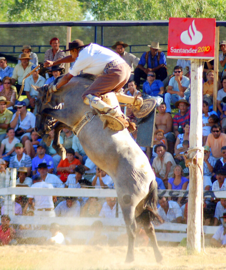 Jaripeos En Chicago 2015