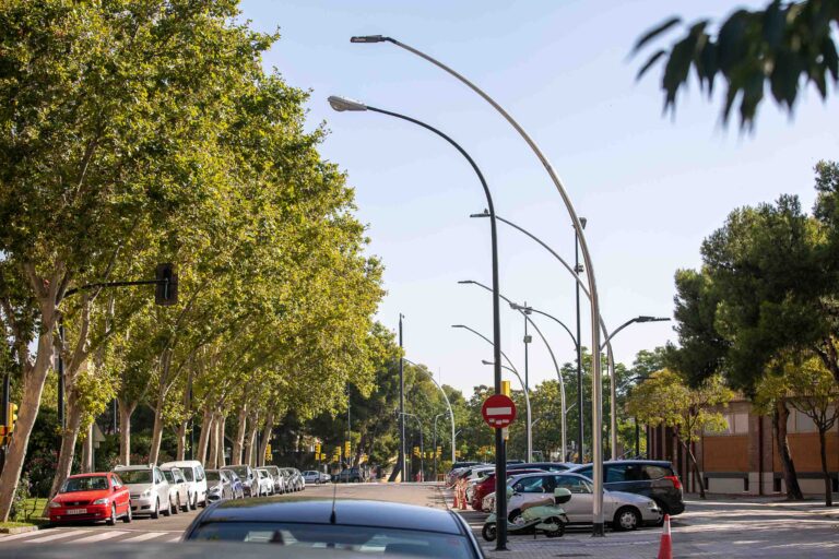Renovar Licencia De Conducir En Miami