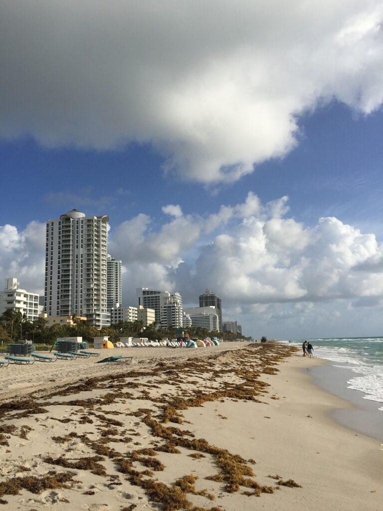 Hoteles En Miami Beach Con Desayuno Incluido
