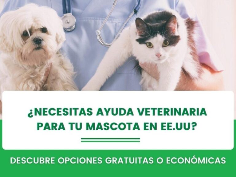 Donde Puedo Checar Mi Credito En Usa