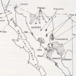 Tipos De Abogados En Usa