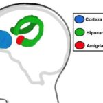 Cual Es El Porcentaje De Impuestos En Usa