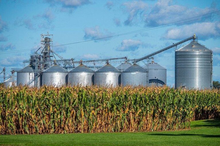 Fabricante De Silos En Usa